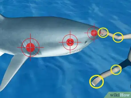 Imagen titulada Survive a Shark Attack Step 4Bullet3