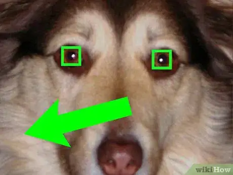Imagen titulada Remove Red Eye on iPhone, iPod, and iPad Photos Step 11