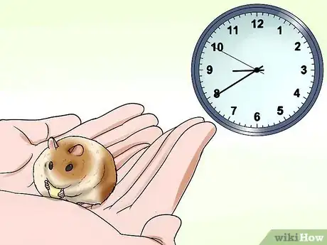 Imagen titulada Handle a Hamster Without Being Bitten Step 9