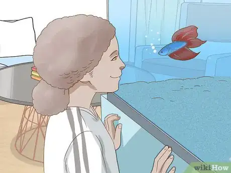 Image intitulée Grow a Bond With Your Betta Fish Step 11