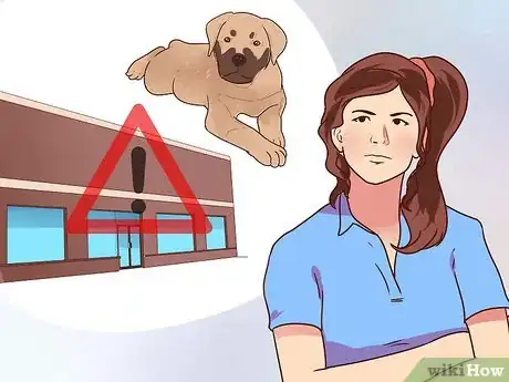 Image intitulée Buy a Puppy Step 17