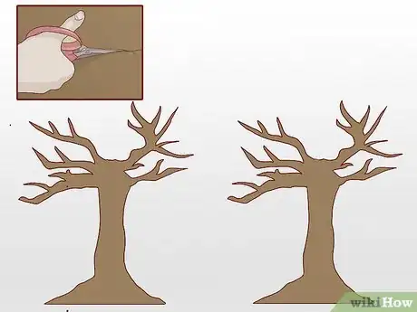 Image intitulée Make a Paper Tree for Kids Step 1
