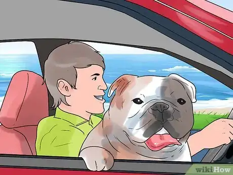 Image intitulée Take Care of an English Bulldog Puppy Step 20