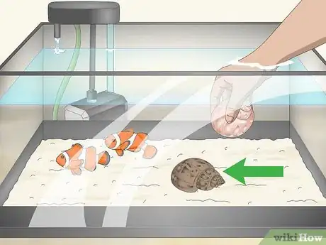 Image intitulée Raise the pH of a Fish Tank Step 10