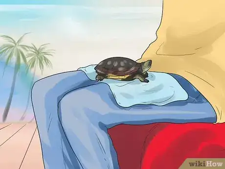 Image intitulée Pet a Turtle Step 7