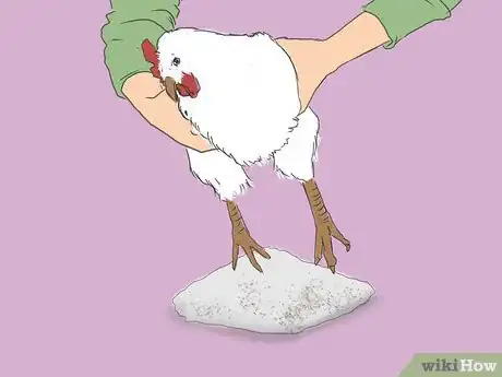 Image intitulée Get Rid of Chicken Mites Step 17