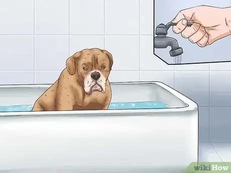 Image intitulée Give Your Large Dog a Bath Step 4