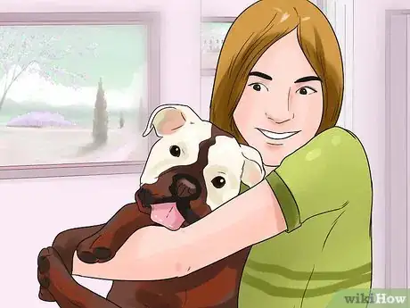 Image intitulée Take Care of an English Bulldog Puppy Step 21