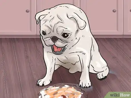 Image intitulée Help a Dog Who Has Canine Epilepsy Step 13