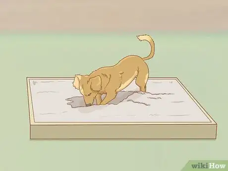 Image intitulée Stop a Dog from Digging Step 7