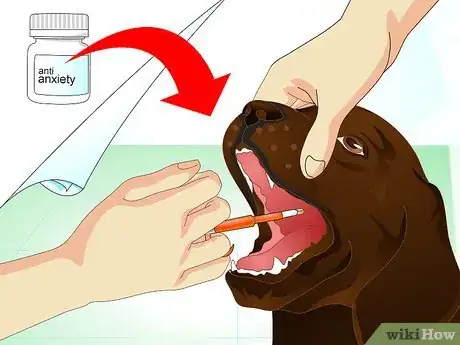 Image intitulée Stop Dog Marking Behaviors Step 23