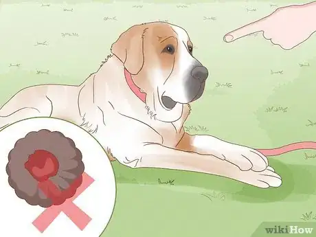 Image intitulée Make Your Dog Stay in Your Yard Without a Leash Step 14
