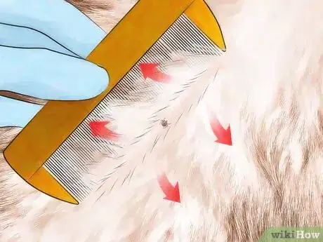Image intitulée Get Ticks off Dogs Step 7