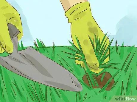 Image intitulée Kill Bermuda Grass Step 15