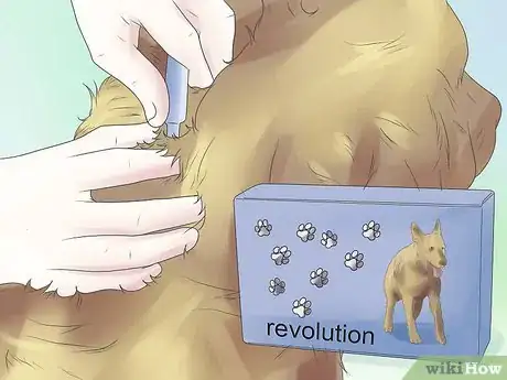 Image intitulée Remove Ear Mites from a Dog Step 10