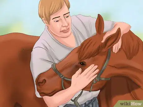 Image intitulée Get Your Horse to Trust and Respect You Step 14
