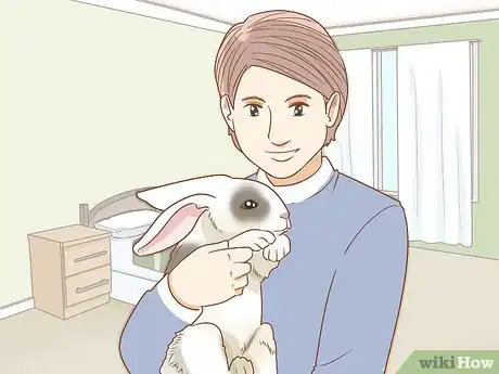 Image intitulée Raise Rabbits Step 10