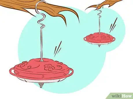 Image intitulée Feed Hummingbirds Step 11