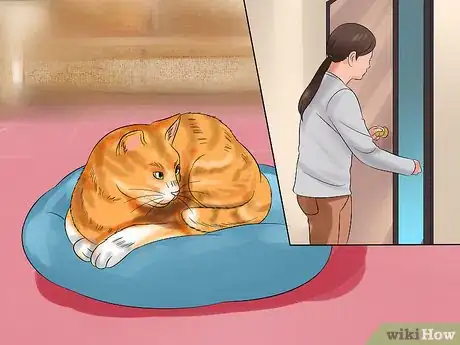 Image intitulée Move with a Cat Step 15