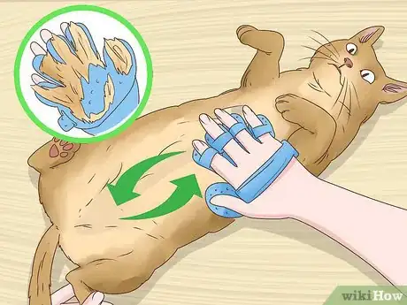 Image intitulée Help a Cat Cough Up a Hairball Step 18