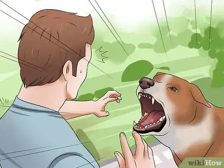 Image intitulée Stop Dogs from Biting Step 11