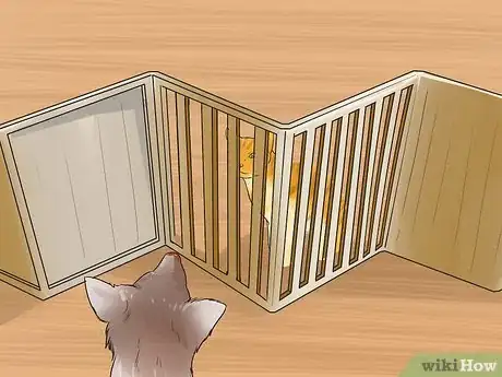 Image intitulée Make Your Dog Like Your Cat Step 11