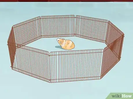 Image intitulée Care for Syrian Hamsters Step 16