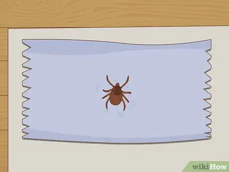 Image intitulée Get Rid of Ticks in Your Hair Step 11