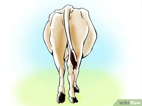 Image intitulée Artificially Inseminate Cows and Heifers Step 28