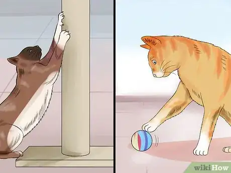 Image intitulée Move with a Cat Step 12