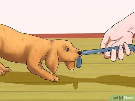 Image intitulée Get Your Puppy to Stop Biting Step 13