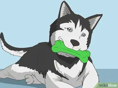 Image intitulée Keep Your Dog Calm After Neutering Step 10