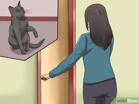 Image intitulée Train a Cat to Stop Doing Almost Anything Step 6