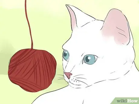 Image intitulée Tell if Your Cat Is Blind Step 9