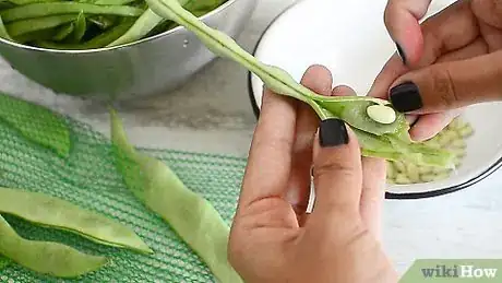 Image intitulée Freeze Broad Beans Step 1