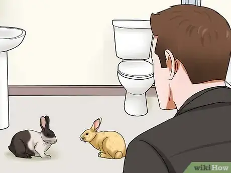 Image intitulée Introduce Rabbits Step 7