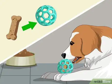 Image intitulée Help a Dog with Separation Anxiety Step 5