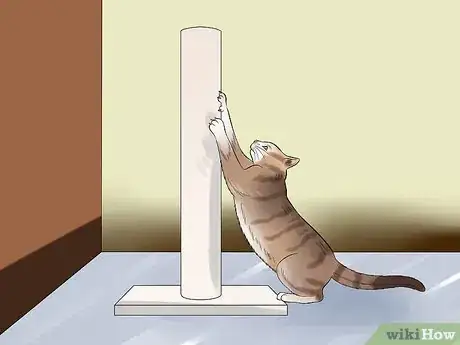 Image intitulée Move with a Cat Step 10