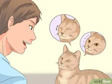Image intitulée Communicate with Your Cat Step 2