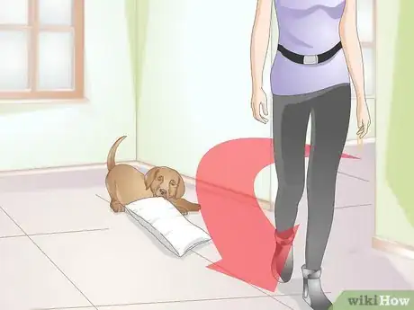 Image intitulée Calm a Puppy Step 8
