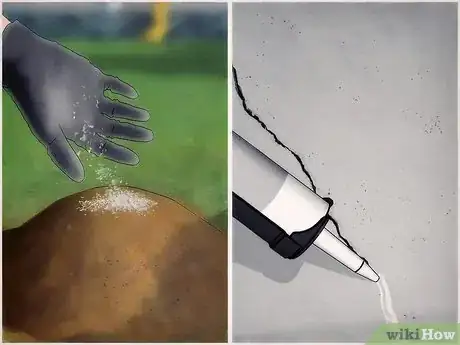 Image intitulée Kill Ants Using Borax Step 13