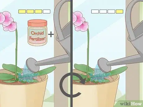 Image intitulée Prune Orchids Step 14