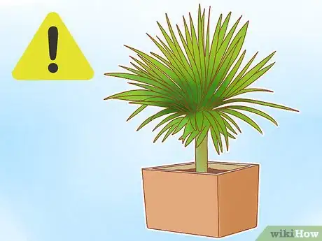 Image intitulée Prevent Cats from Eating Plants Step 13