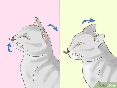 Image intitulée Communicate with Your Cat Step 3