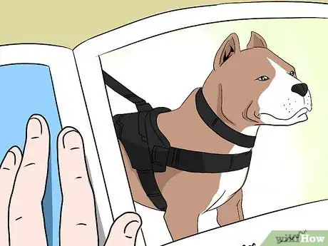 Image intitulée Convince Your Parents to Let You Have a Pet Step 10