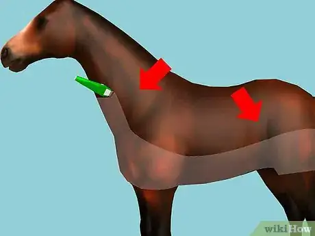 Image intitulée Clip Your Horse Step 2