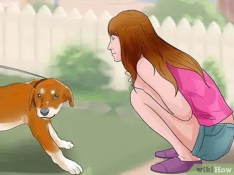 Image intitulée Temperament Test a Dog Step 18