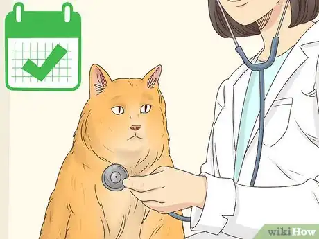 Image intitulée Help a Cat Cough Up a Hairball Step 13