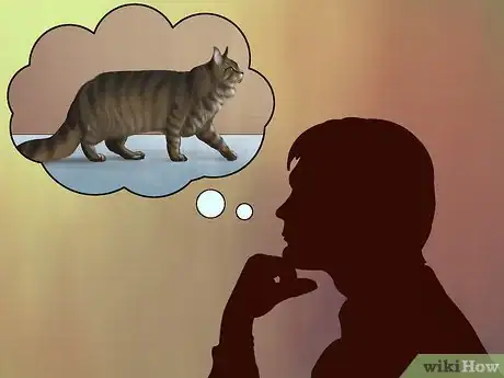 Image intitulée Identify a Maine Coon Step 16