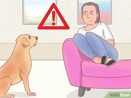 Image intitulée Know if Your Dog Likes You the Best Step 3